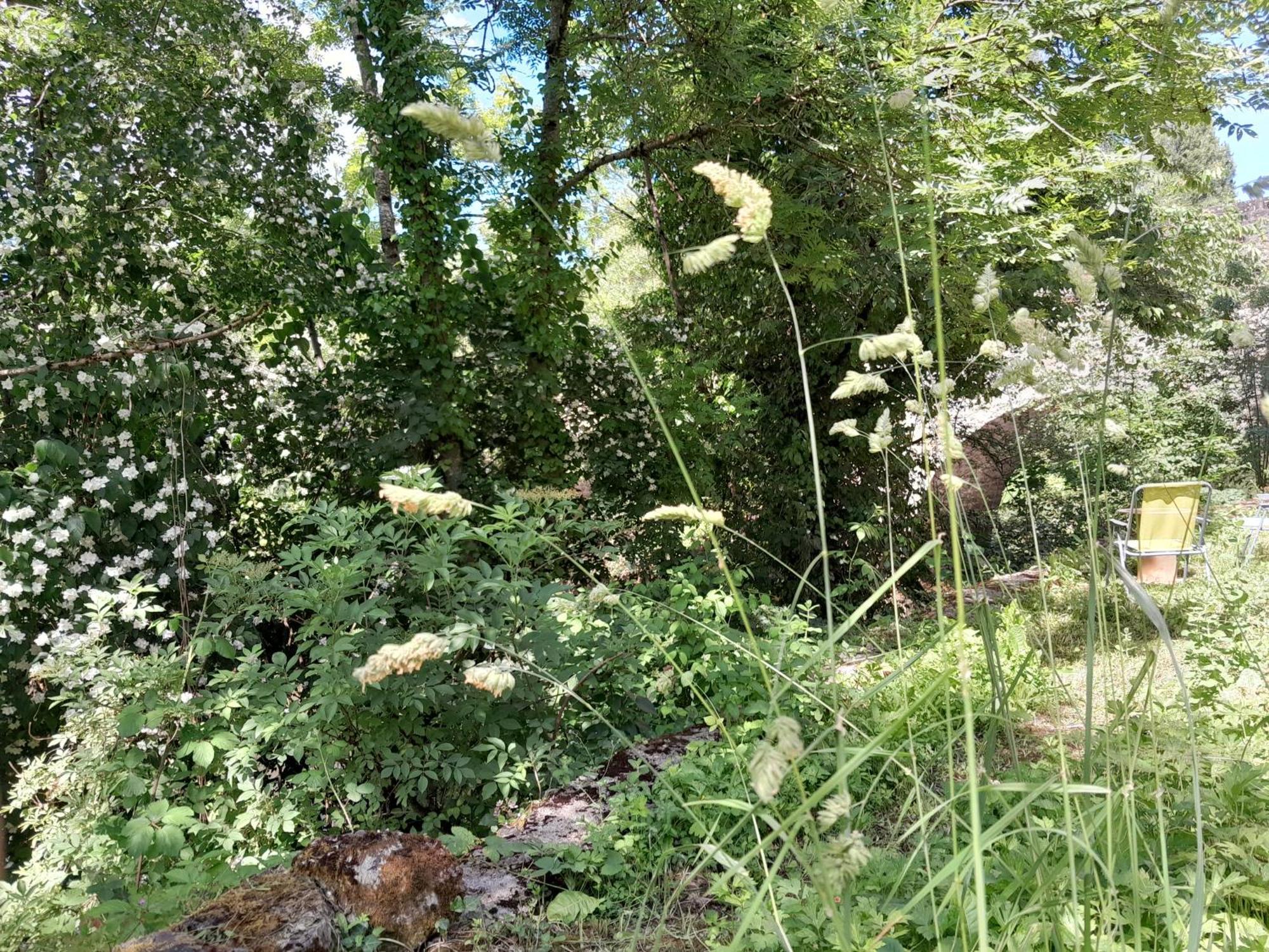 Appartement Privatif En Bord De Riviere Figeac Exteriör bild